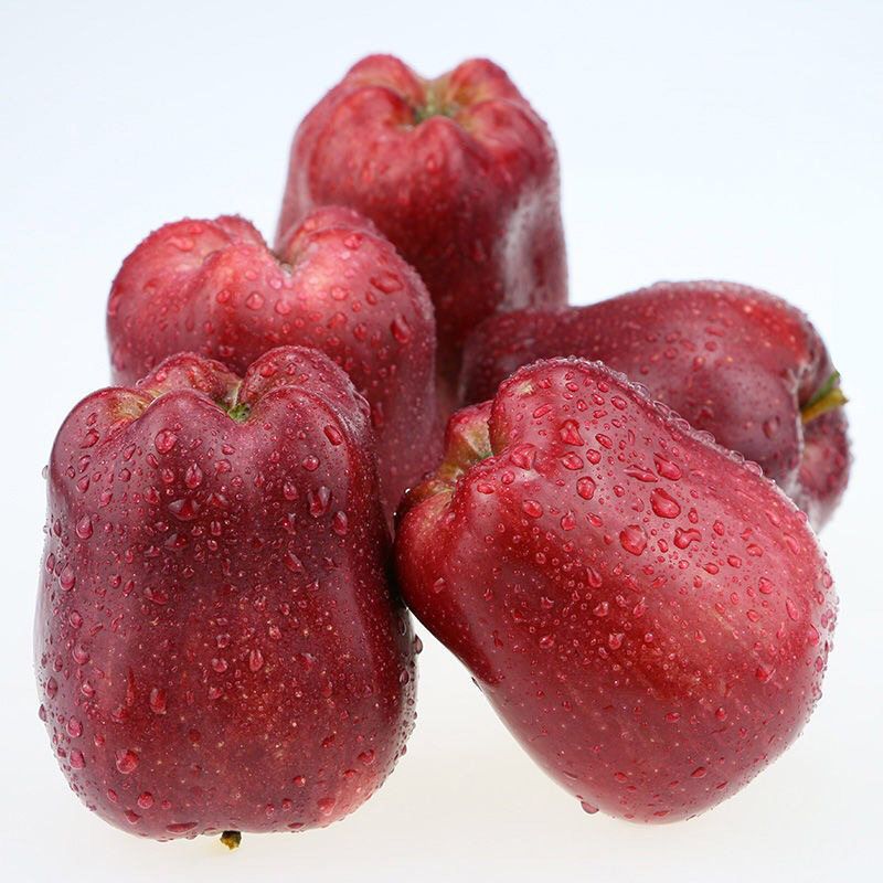 新鲜10斤牛Apple甘肃粉应当辅食