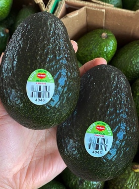 新鲜牛油果avocado fresh mecxico/Peru avocados 4pcs 150g/10个