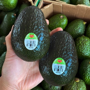 Peru mecxico avocados 4pcs 10个 新鲜牛油果avocado 150g fresh