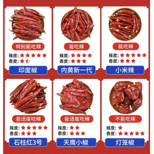 特辣干红辣椒 extra pepper hot 500g印度二荆条贵州椒辣椒粉