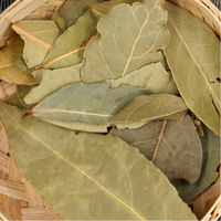 Spice bay leaves condiment spices Laurel Leaf 50g thumbnail 7