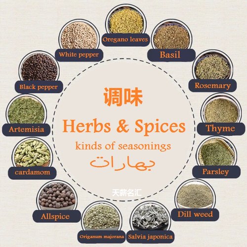 spicesherbs调味品材料香料