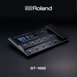 Roland Roland GT-1000 Гитара Комплексное отдельное динамик с множественным эффектом Bestis Effect