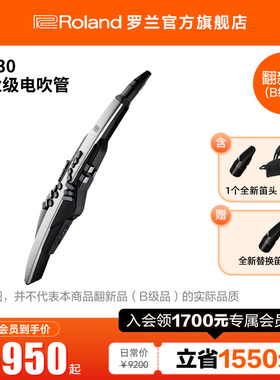 翻新品(B级品)Roland罗兰电吹管AE-30 Aerophone Pro电萨克斯乐器