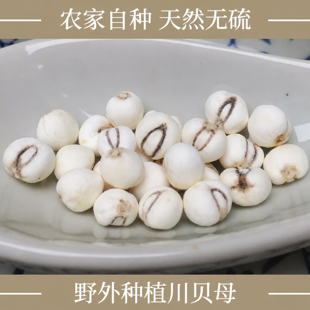 四川农家川贝母50g 珍珠贝 贝母精选川贝松贝米贝 尖贝可磨川贝粉