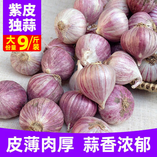 紫皮独蒜农家自种独头蒜
