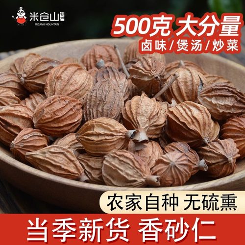 香砂仁四川宜宾香沙仁优调味香料