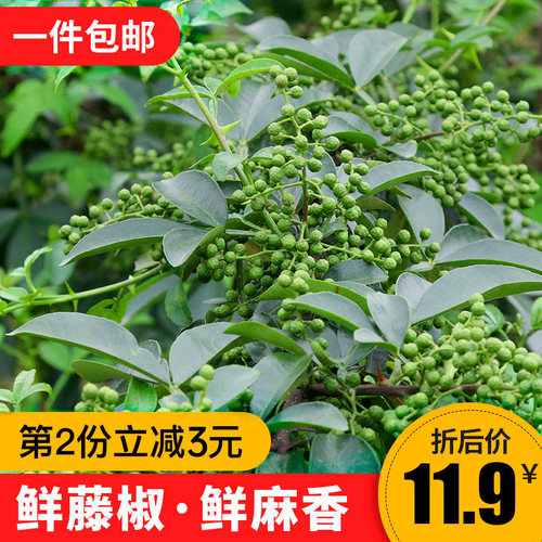 米仓山新鲜青藤椒350g四川特产鲜花椒江津保鲜青花椒特麻椒香料 - 封面