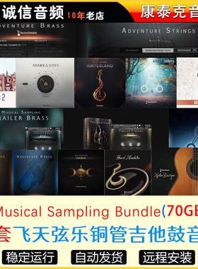 25套Musical Sampling全套合集飞天弦乐铜管吉他鼓音源康泰克音源