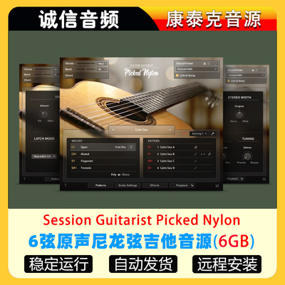 6弦原声尼龙弦吉他音源Session Guitarist Picked Nylon