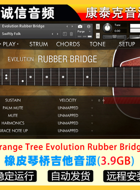 橡皮琴桥吉他音源-Orange Tree Samples Evolution Rubber Bridge