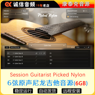 6弦原声尼龙弦吉他音源Session Guitarist Picked Nylon
