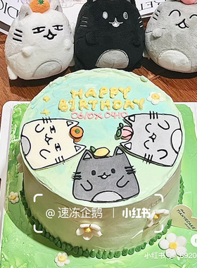 网红卡通fifi猫生日蛋糕装饰摆件亚克力小猫牌子可爱猫猫烘焙插件