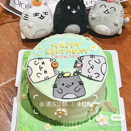 网红卡通fifi猫生日蛋糕装饰摆件亚克力小猫牌子可爱猫猫烘焙插件