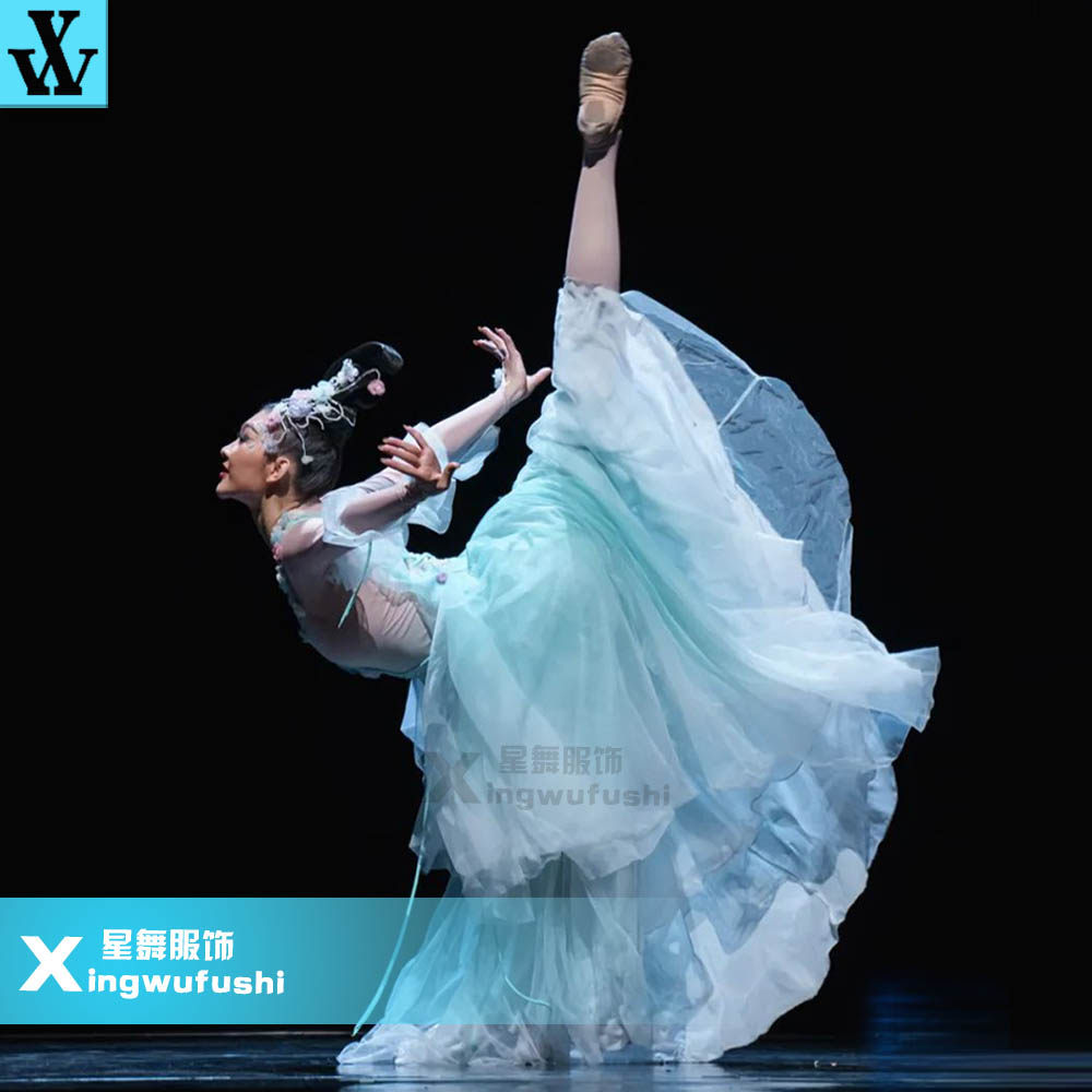 古典舞蹈服装艺考服女影涧花神飘逸大摆裙表演服中国舞剧目演出服