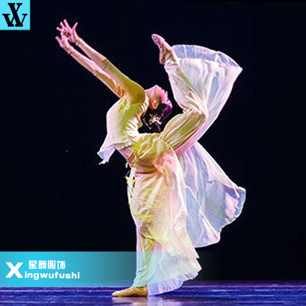 良宵舞蹈服装艺考飘逸古典舞