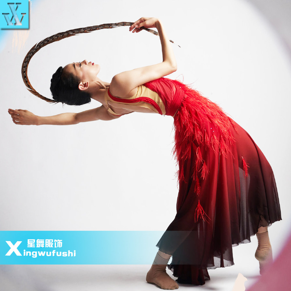 华丽的皮囊舞蹈服装羽毛演出服