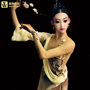 艺考舞蹈服寒依疏影舞蹈服桃李杯古典舞女子独舞演出服装定制