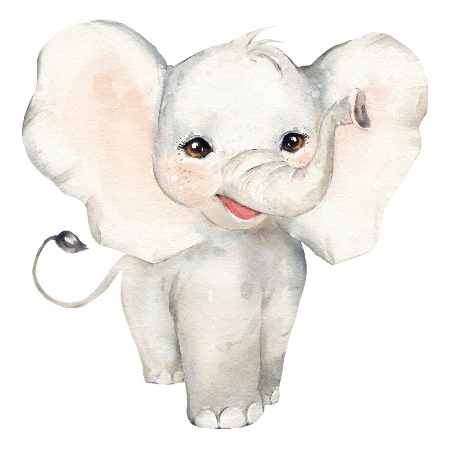 大尺寸高清分辨率设计素材 动物水彩大象k8-44