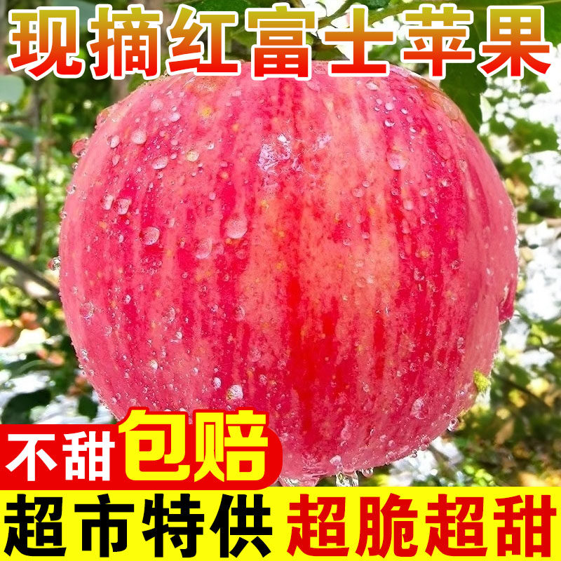 今年头茬红富士苹果超值大果图片
