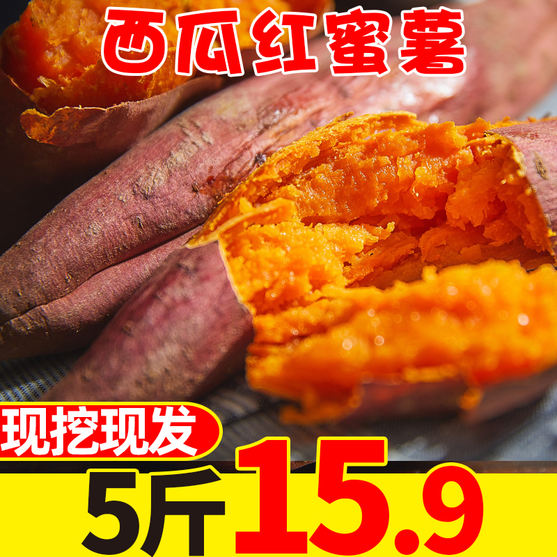 新鲜西瓜红现挖蜜薯净重5斤红薯农家自番薯板栗当季地瓜整箱包邮