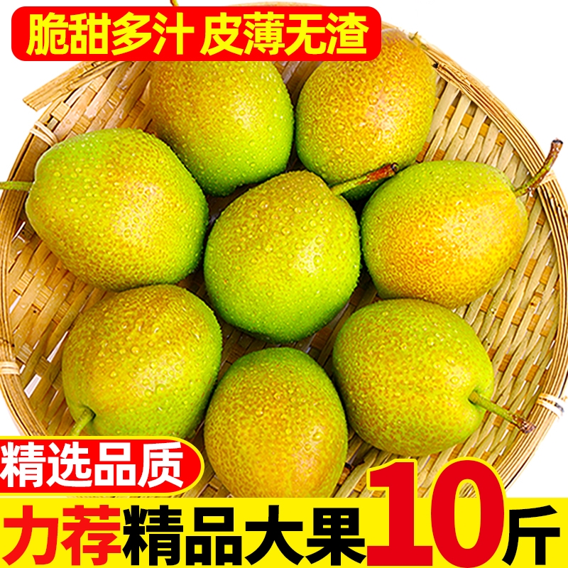 抢！2025头茬红香酥梨精品大果