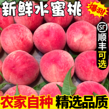 水蜜桃3斤新鲜水果脆桃子现季应季当季整箱现摘10毛桃超甜包邮