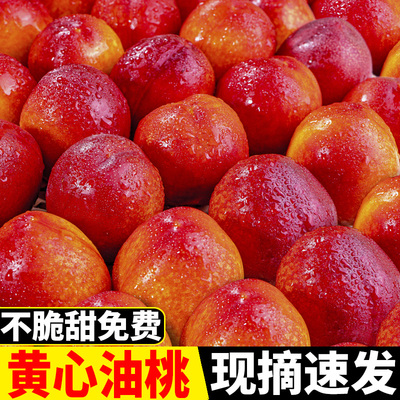 当季脆甜头茬黄心油桃