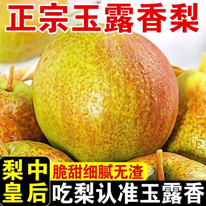 正宗山西玉露香梨脆甜雪梨酥梨薄皮现摘新鲜应季孕妇水果整箱包邮