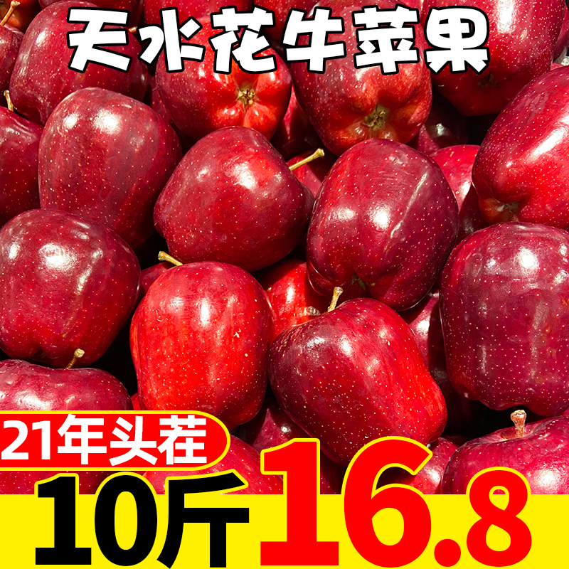 甘肃天水花牛苹果10斤当季新鲜水果应季红蛇果5正宗粉面包邮整箱