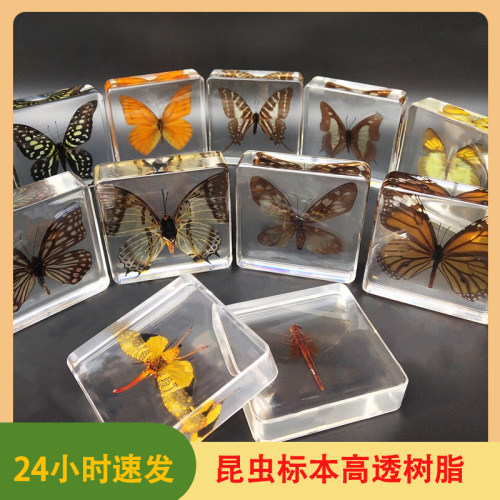 卡速特昆虫形树脂胶AB水晶滴胶手工DIY材料包模具蝴蝶标本树脂胶