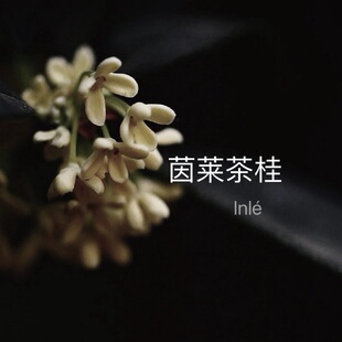 茵莱茶桂 桂花之舞 南丹路 桂花月夜不是你想的桂花味道香水香薰