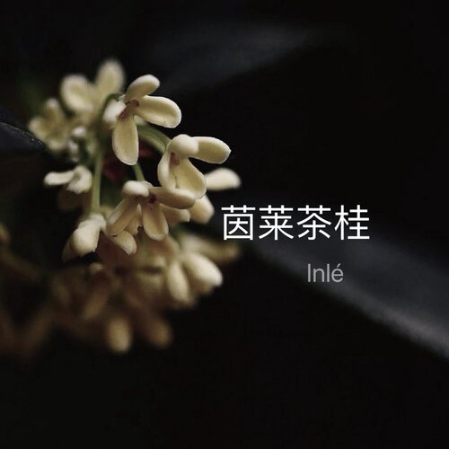 茵莱茶桂之舞不是你想味道香水