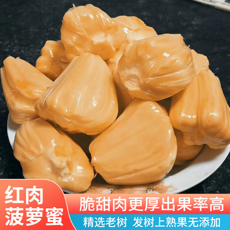 海南红肉菠萝蜜一整个新鲜越南红菠萝蜜