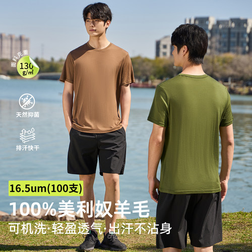 100%美利奴羊毛男士户外运动t恤