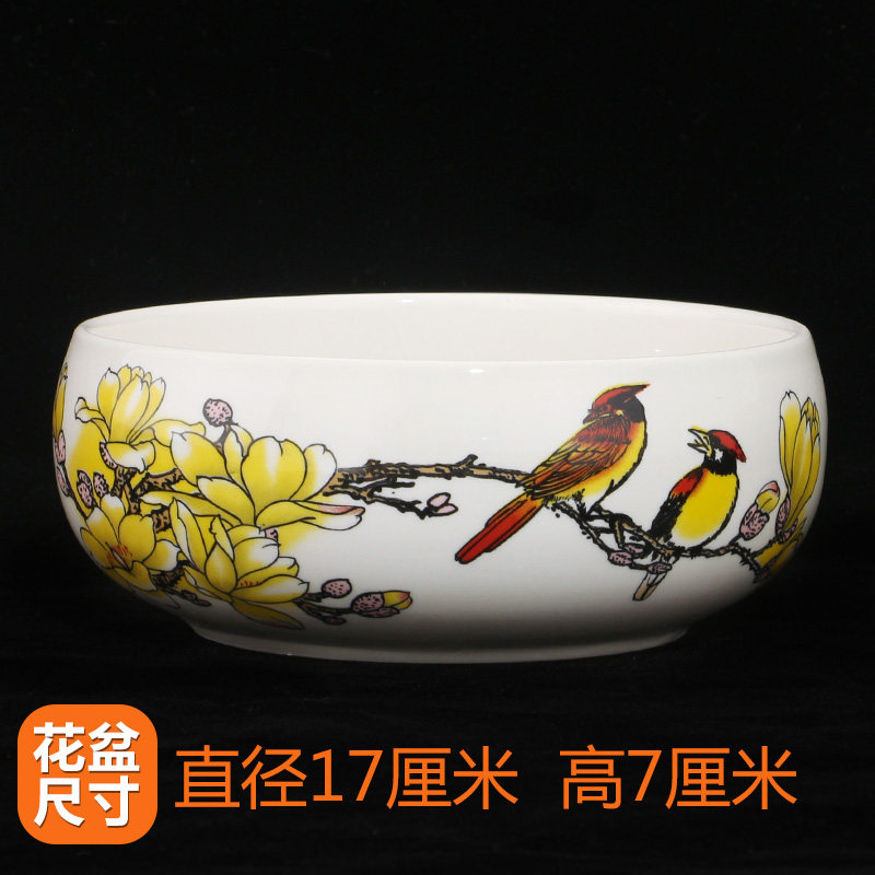 专用水仙花盆陶瓷盆无孔铜钱草碗莲睡莲水培花盆多肉花盆包邮