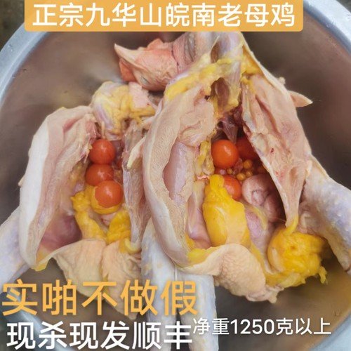 顺丰包邮正宗安徽山林放养老母鸡