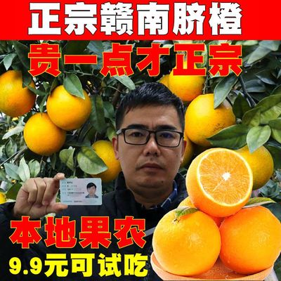 正宗赣南脐橙，赣州安远发货！