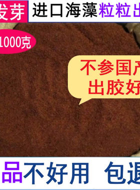 正品进口原料小颗粒海藻面膜泥补充胶原蛋白1000g/袋装补水会发芽