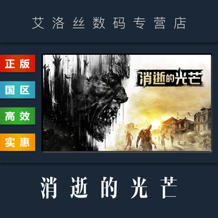 联机游戏 激活码 决定版 steam平台 国区 全DLC 光芒 消逝 消失 PC中文正版 Dying 光芒1 Light
