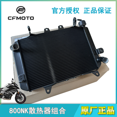 春风原厂800NK散热器主水箱水壶