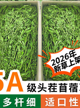 2026新草苜蓿草兔草幼兔主草烘干