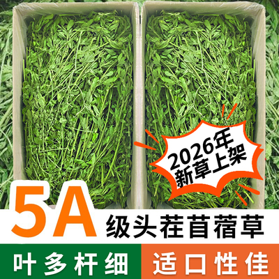 2026新草苜蓿草兔草幼兔主草烘干