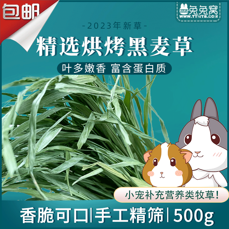 新批次2024 特级精选烘烤黑麦草500g净重 多叶嫩绿香绿高蛋白包邮 宠物/宠物食品及用品 兔兔干草 原图主图