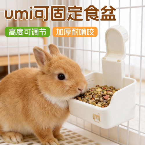兔子固定食盆加厚悬挂防啃咬兔碗