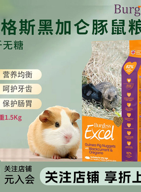 英国进口Burgess布格斯黑加仑牛至天竺鼠豚鼠粮荷兰猪粮1.5kg26.9