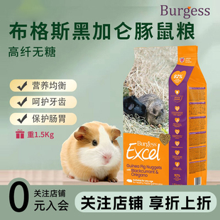 英国进口Burgess布格斯黑加仑牛至天竺鼠豚鼠粮荷兰猪粮1.5kg26.9