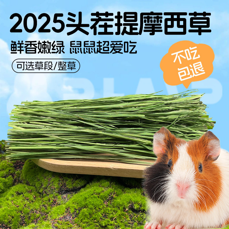 25年提摩西草烘干头茬兔子草提摩西草料干草兔子豚鼠主粮牧草主食