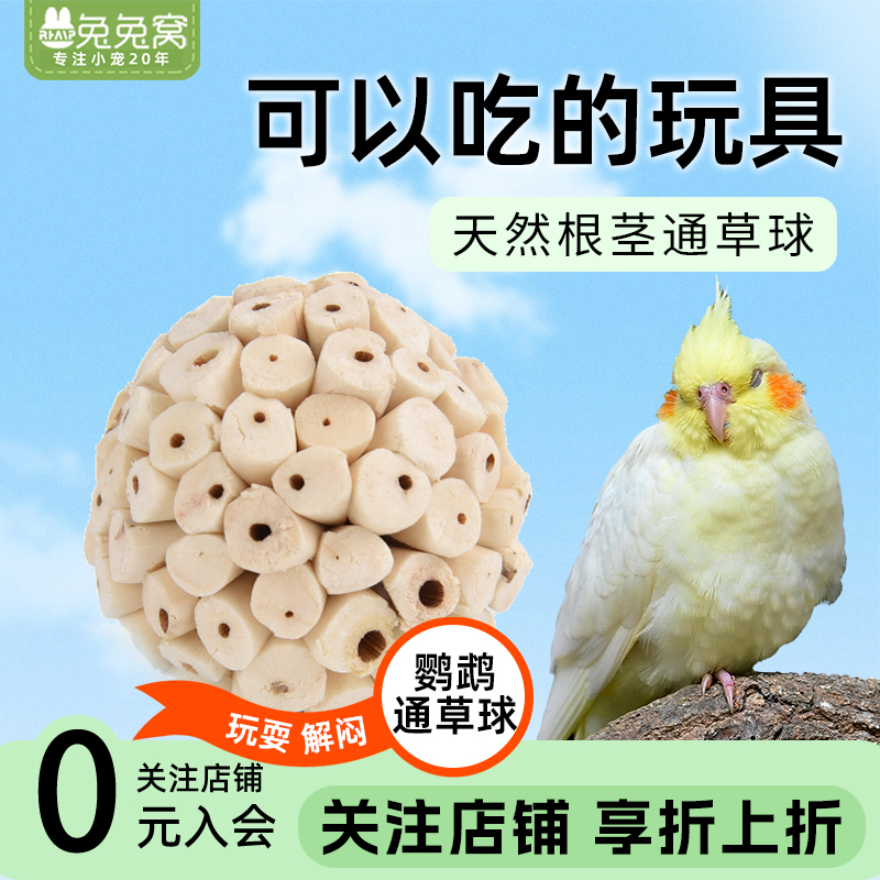 释放情绪发泄通草球鹦鹉啃咬玩具