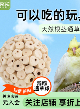 鹦鹉通草球啃咬玩具解闷趣味益智玄凤和尚凯克虎皮训练鸟用玩具